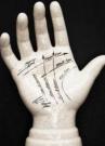 86 способов определения болезни по руке